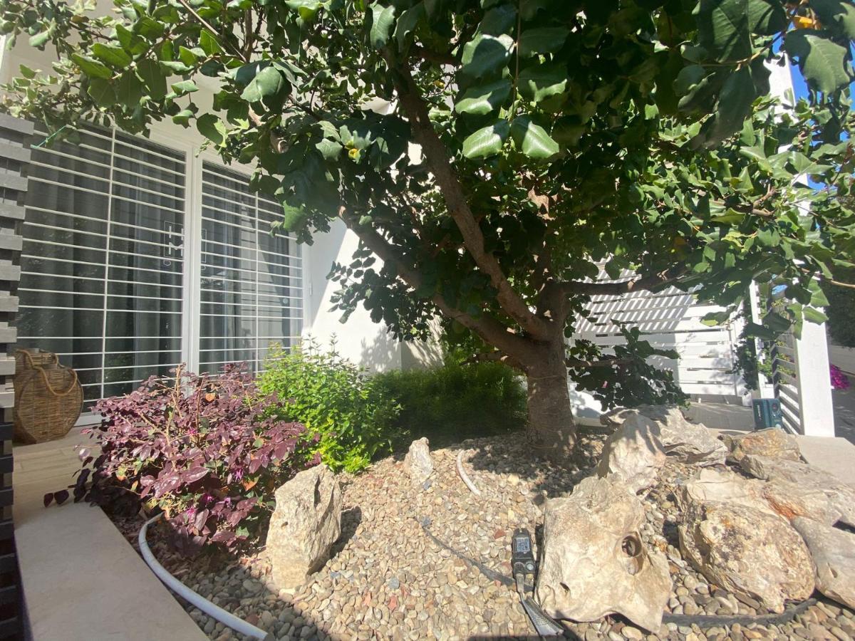 Home3 Bed Superior Room Bisceglie Ngoại thất bức ảnh